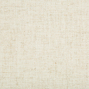 Kravet Smart 35395-1 by Kravet Smart Fabric