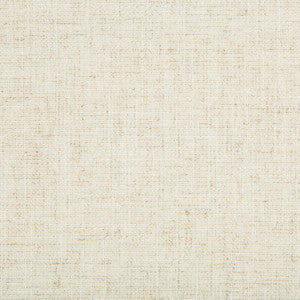 Kravet Smart 35395-1 by Kravet Smart Fabric