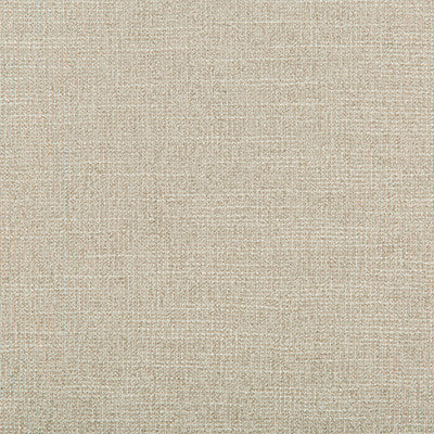 Adaptable Quartz by Kravet Design Fabric