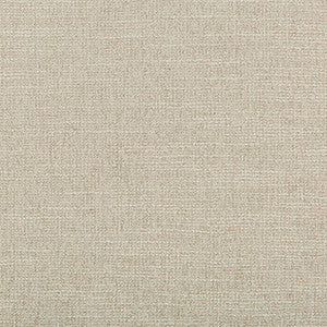 Adaptable Quartz by Kravet Design Fabric