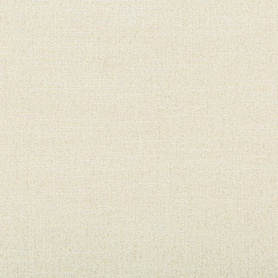 Adaptable Ivory by Kravet Design Fabric