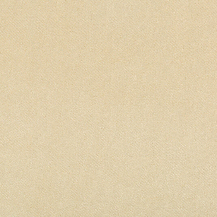 Madison Velvet Papyrus by Kravet Contract Fabric - POLYESTER - 100% Turkey HEAVY Horizontal: - and Vertical: - 55 - Fabric Carolina -