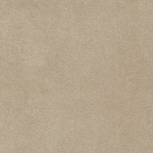 Madison Velvet Porcini by Kravet Contract Fabric