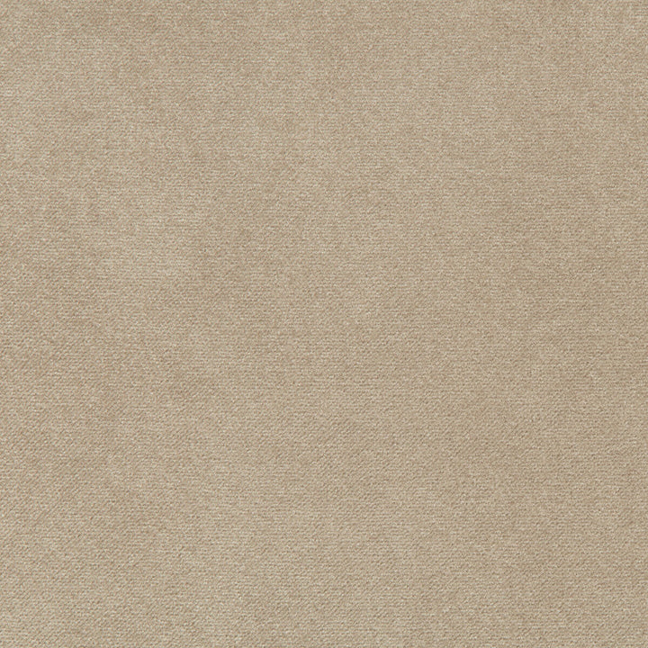 Madison Velvet Porcini by Kravet Contract Designer Fabric POLYESTER - 100% Turkey HEAVY Horizontal: and Vertical: 55 - Swanky Fabrics -