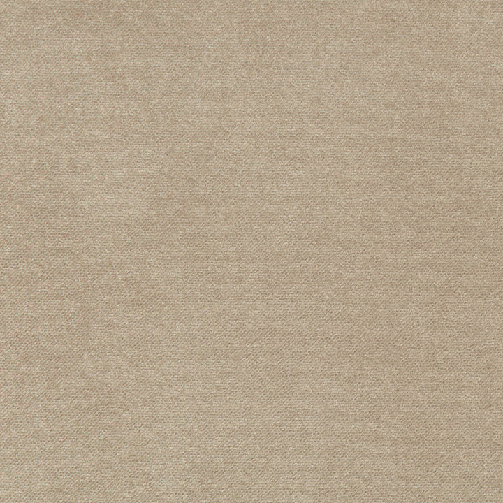 Madison Velvet Porcini by Kravet Contract Fabric POLYESTER - 100% Turkey HEAVY Horizontal: and Vertical: 55 - Fabric Carolina -