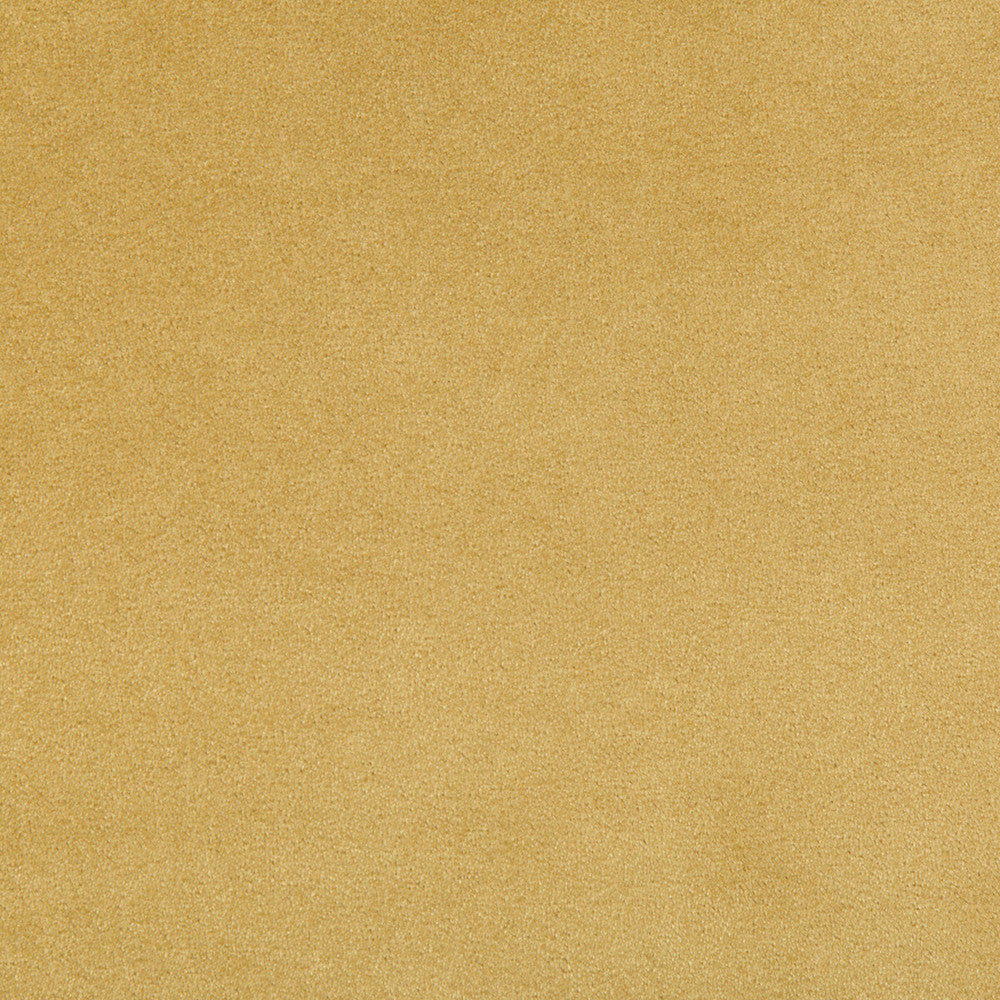 Madison Velvet Marigold by Kravet Contract Fabric - POLYESTER - 100% Turkey HEAVY Horizontal: - and Vertical: - 55 - Fabric Carolina -