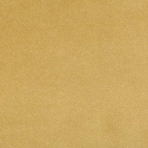 Madison Velvet Marigold by Kravet Contract Fabric