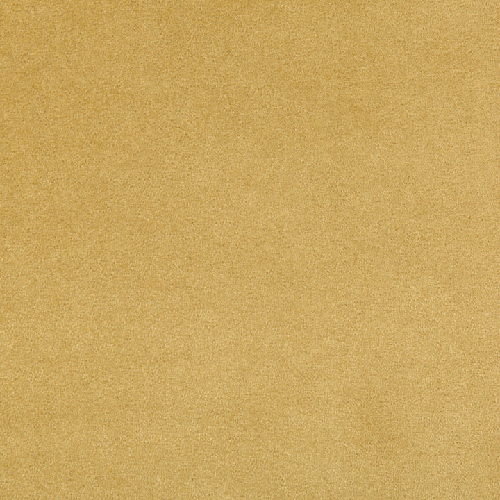 Madison Velvet Marigold by Kravet Contract Fabric POLYESTER - 100% Turkey HEAVY Horizontal: and Vertical: 55 - Fabric Carolina -