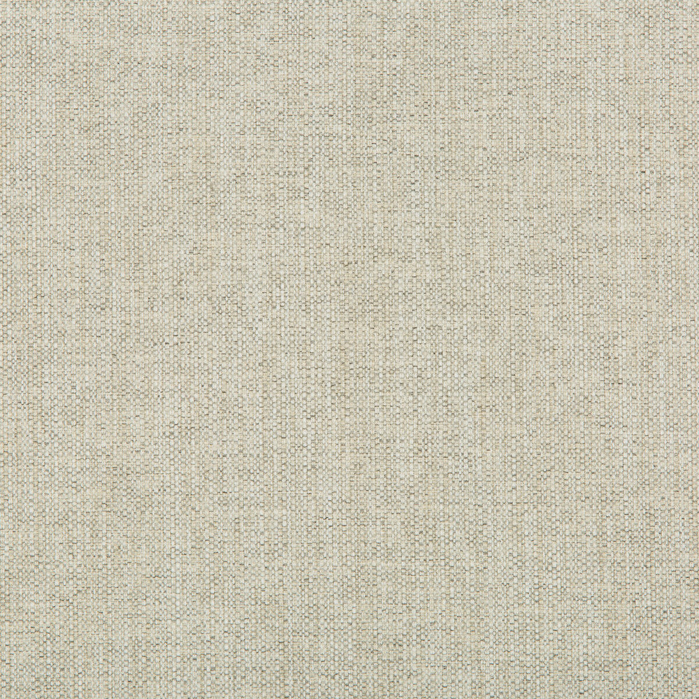 35443-111 by Kravet Contract Fabric - OLEFIN - 52%;POLYESTER - 48% United States HEAVY Horizontal: 0 and Vertical: 0 56 - Fabric Carolina -