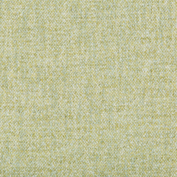 35455-23 by Kravet Basics Fabric POLYESTER - 100% India HEAVY Horizontal: 0 and Vertical: 0 53 - Fabric Carolina -