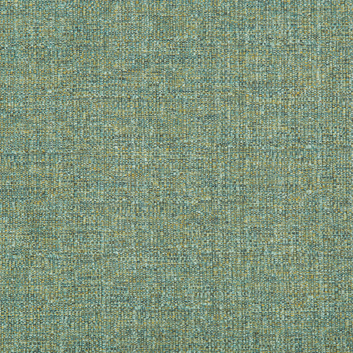 35479-423 by Kravet Contract Fabric POLYESTER - 100% China HEAVY Horizontal: 0 and Vertical: 0 54 - Fabric Carolina -