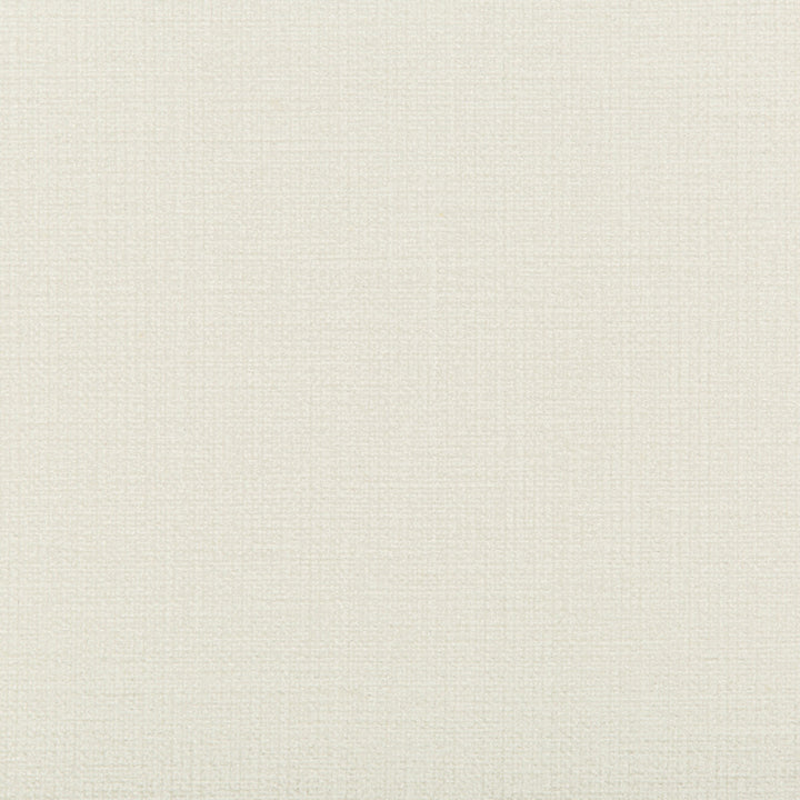 35481-1 by Kravet Basics Fabric POLYESTER - 78%;COTTON - 22% India HEAVY Horizontal: 0 and Vertical: 0 54 - Fabric Carolina -