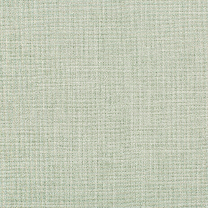 35481-23 by Kravet Basics Fabric POLYESTER - 78%;COTTON - 22% India HEAVY Horizontal: 0 and Vertical: 0 54 - Fabric Carolina -