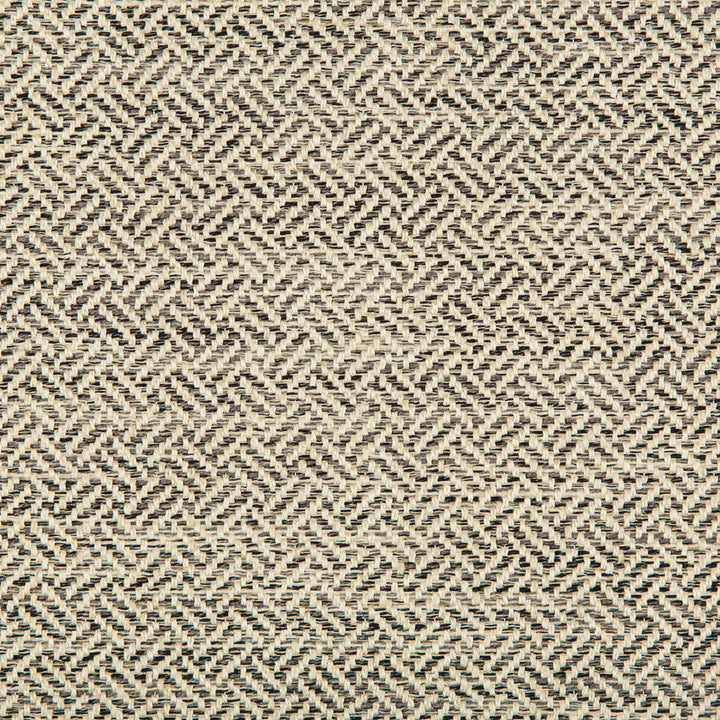 35485-81 by Kravet Basics Fabric POLYESTER - 72%;COTTON - 14%;LINEN - 7%;RAYON - 7% India HEAVY Horizontal: 0 and Vertical: 0 54 - Fabric Carolina -