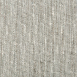 Carbon Texture Cloud by Kravet Design Fabric
