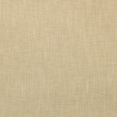 Kravet Smart 35514-16 by Kravet Smart Fabric