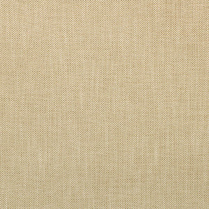 Kravet Smart 35514-16 by Kravet Smart Fabric