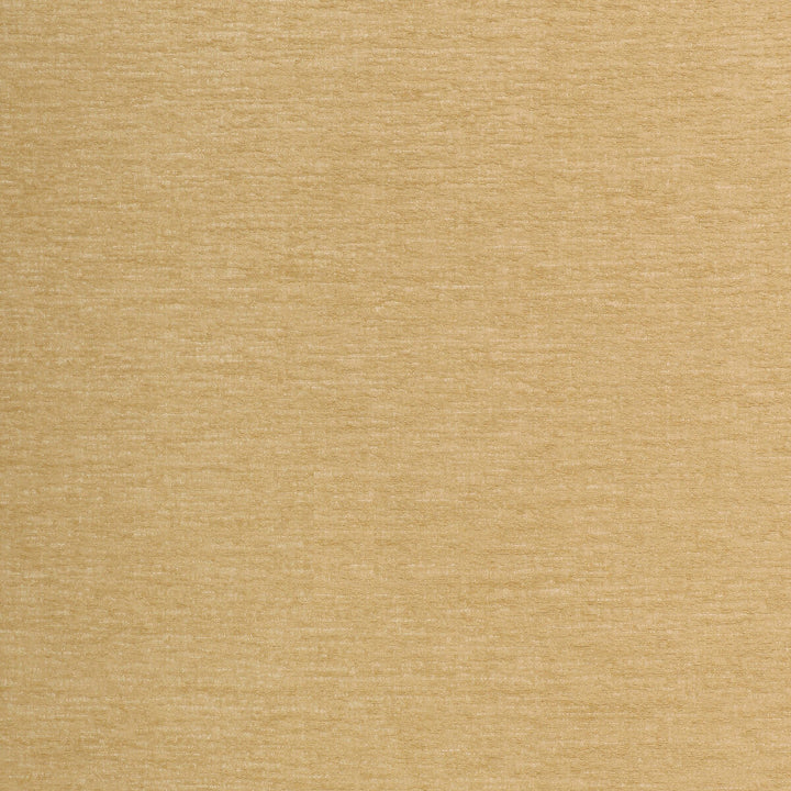 Kravet Smart 35515-16 by Kravet Smart Fabric Kravet Smart Fabric Kravet Smart 35515-16Fabric INSIDE OUT PERFORMANCE FABRICS POLYESTER - 100% United States </p><p>Repeat: H: 0.63, V: 0.063 57 - Fabric Carolina -