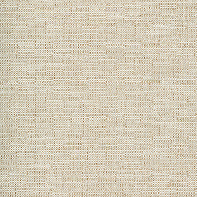 Kravet Smart 35518-106 by Kravet Smart Fabric