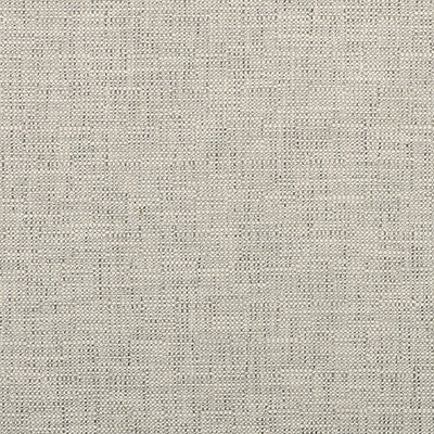 Kravet Smart 35518-111 by Kravet Smart Fabric