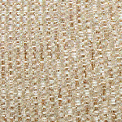 Kravet Smart 35518-116 by Kravet Smart Fabric