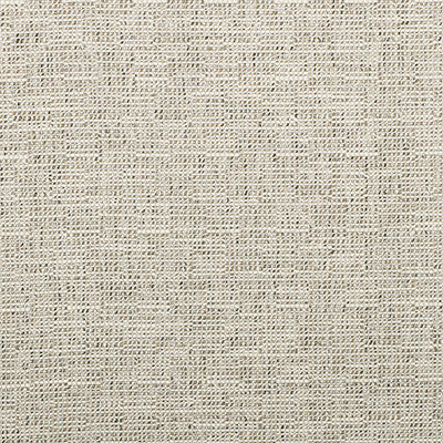 Kravet Smart 35518-1611 by Kravet Smart Fabric