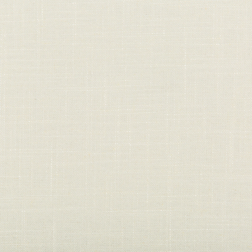 Aura Lace by Kravet Design Fabric - VISCOSE - 67%;LINEN - 33% Italy HEAVY Horizontal: 0 and Vertical: 0 55.12 - Fabric Carolina -