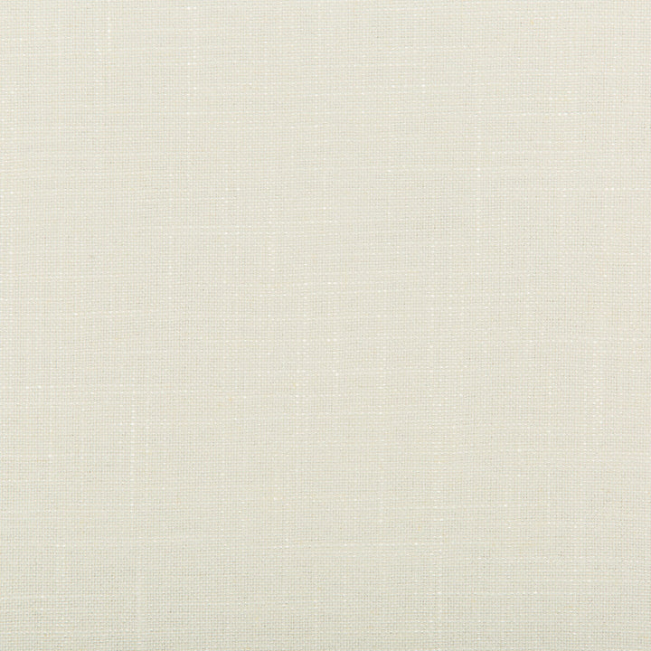 Aura Lace by Kravet Design Fabric VISCOSE - 67%;LINEN - 33% Italy HEAVY Horizontal: 0 and Vertical: 0 55.12 - Fabric Carolina -