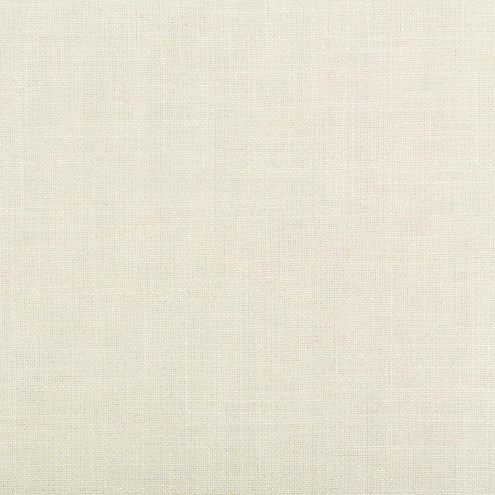Aura Cloud by Kravet Design Fabric VISCOSE - 67%;LINEN - 33% Italy HEAVY Horizontal: 0 and Vertical: 0 55.12 - Fabric Carolina -