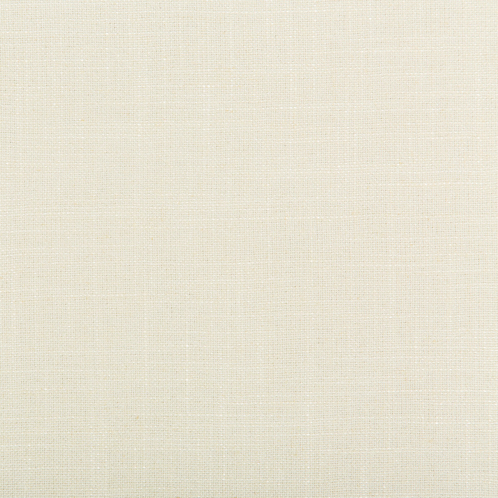Aura Cloud by Kravet Design Fabric - VISCOSE - 67%;LINEN - 33% Italy HEAVY Horizontal: 0 and Vertical: 0 55.12 - Fabric Carolina -