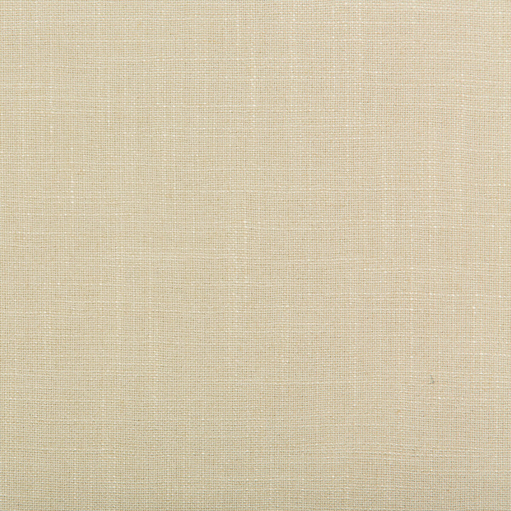 Aura Tusk by Kravet Design Fabric VISCOSE - 67%;LINEN - 33% Italy HEAVY Horizontal: 0 and Vertical: 0 55.12 - Fabric Carolina -