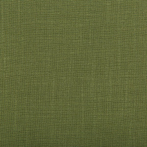 Aura Vine by Kravet Design Fabric