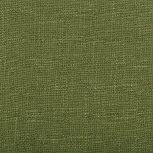 Aura Vine by Kravet Design Fabric