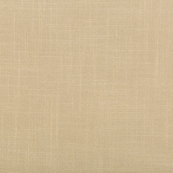 Aura Shell by Kravet Design Fabric - VISCOSE - 67%;LINEN - 33% Italy HEAVY Horizontal: 0 and Vertical: 0 55.12 - Fabric Carolina -