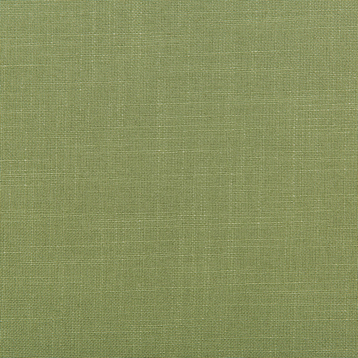 Aura Wasabi by Kravet Design Fabric VISCOSE - 67%;LINEN - 33% Italy HEAVY Horizontal: 0 and Vertical: 0 55.12 - Fabric Carolina -