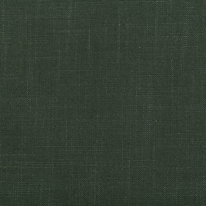 Aura Fern by Kravet Design Fabric - VISCOSE - 67%;LINEN - 33% Italy HEAVY Horizontal: 0 and Vertical: 0 55.12 - Fabric Carolina -
