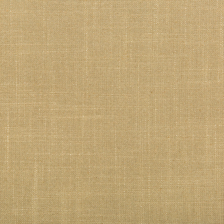 Aura Barley by Kravet Design Fabric - VISCOSE - 67%;LINEN - 33% Italy HEAVY Horizontal: 0 and Vertical: 0 55.12 - Fabric Carolina -