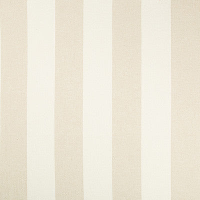 Kravet Basics 35530-116 by Kravet Basics Fabric