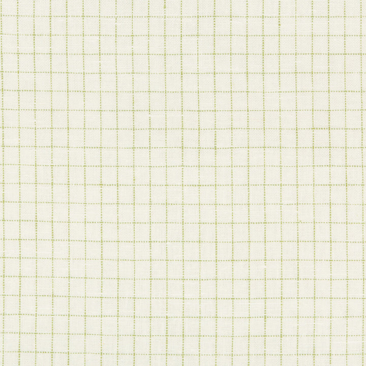 35531-31 by Kravet Basics Fabric LINEN - 100% India HEAVY Horizontal: 0.5 and Vertical: 0.5 54 - Fabric Carolina -