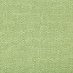 Oxfordian Leaf by Kravet Basics Fabric