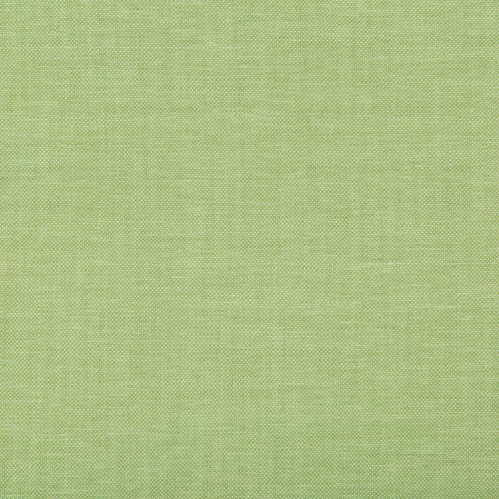 Oxfordian Leaf by Kravet Basics Fabric Kravet Basics Fabric Oxfordian LeafFabric BERMUDA COTTON - 77%;POLYESTER - 23% India </p><p>Repeat: H: , V: 54 - Fabric Carolina -