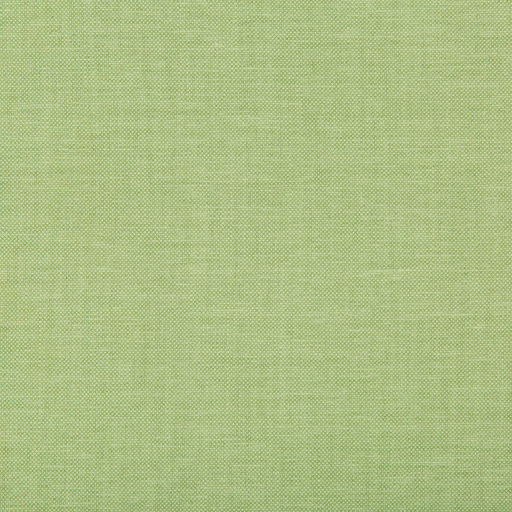 Oxfordian Leaf by Kravet Basics Fabric Kravet Basics Fabric Oxfordian LeafFabric BERMUDA COTTON - 77%;POLYESTER - 23% India </p><p>Repeat: H: , V: 54 - Fabric Carolina -