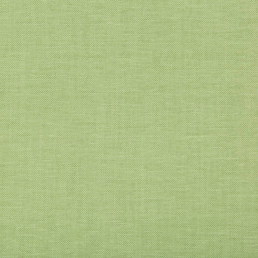 Oxfordian Leaf by Kravet Basics Fabric BERMUDA COTTON - 77%;POLYESTER - 23% India MEDIUM Horizontal: and Vertical: 54 - Fabric Carolina -