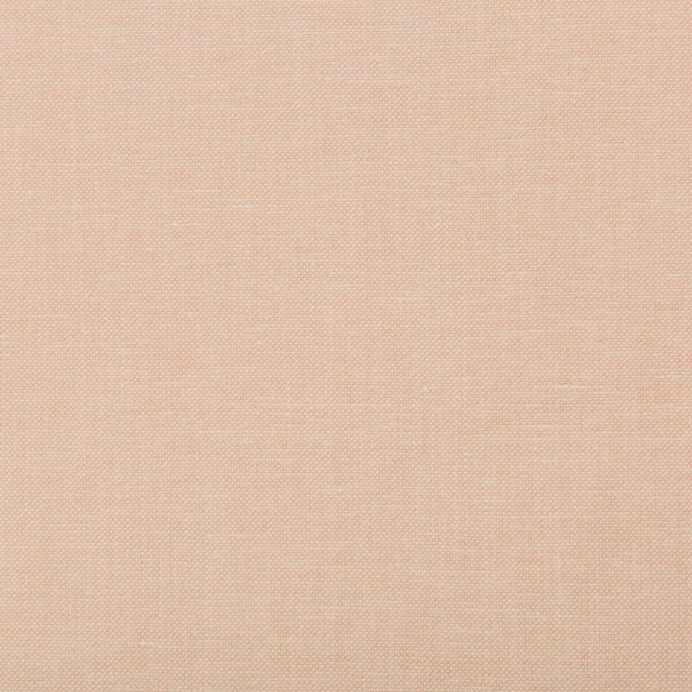 Oxfordian Blush by Kravet Basics Fabric BERMUDA COTTON - 77%;POLYESTER - 23% India MEDIUM Horizontal: and Vertical: 54 - Fabric Carolina -