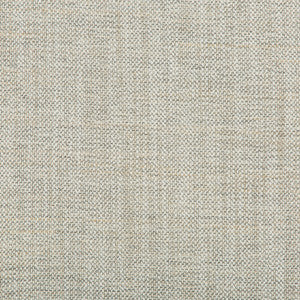 Tonquin Cloud by Kravet Couture Fabric