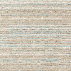 Halau Dune by Kravet Couture Fabric