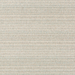 Halau Dune by Kravet Couture Fabric