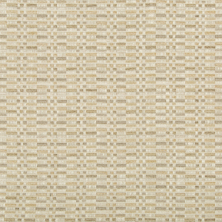 35585-16 by Kravet Design Designer Fabric POLYESTER - 56%;COTTON - 25%;RAYON - 19% United States HEAVY Horizontal: 3.5 and Vertical: 2.5 57.5 - Swanky Fabrics -