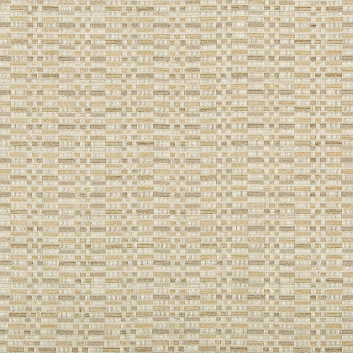 35585-16 by Kravet Design Fabric POLYESTER - 56%;COTTON - 25%;RAYON - 19% United States HEAVY Horizontal: 3.5 and Vertical: 2.5 57.5 - Fabric Carolina -