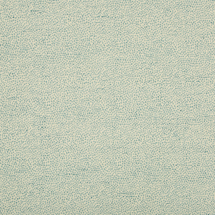 35595-13 by Kravet Design Fabric POLYESTER - 64%;COTTON - 36% India HEAVY Horizontal: 7.25 and Vertical: 5.5 54 - Fabric Carolina -